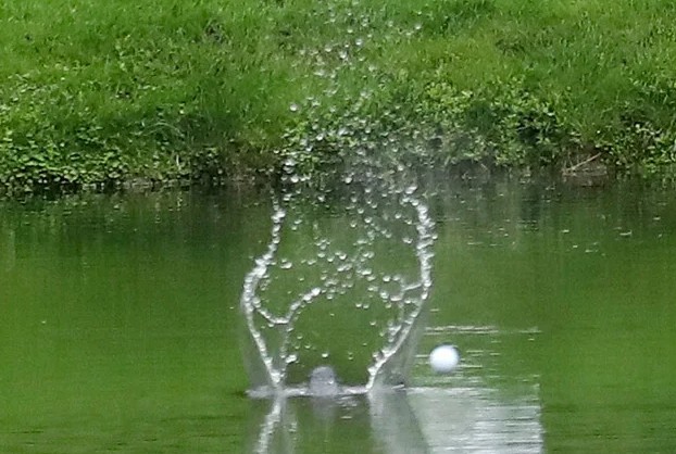 404: your ball found the water